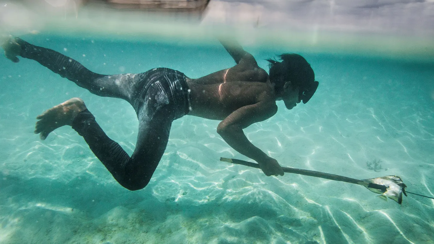 Bajau