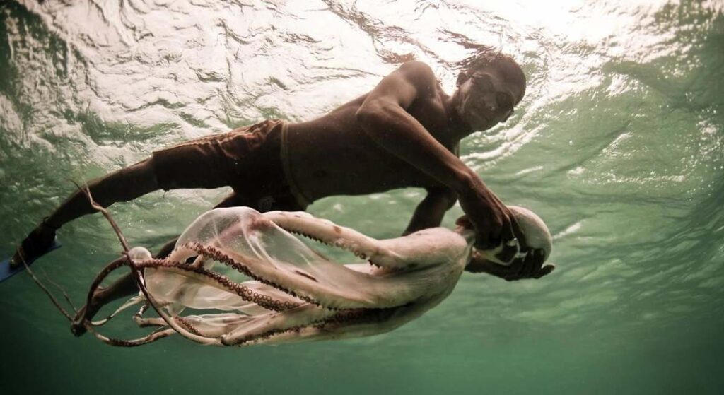 Bajau