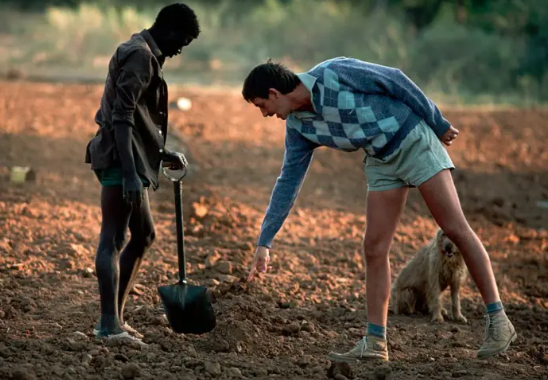 afrikaners