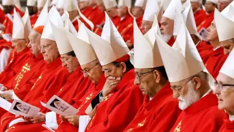 133 cardenales