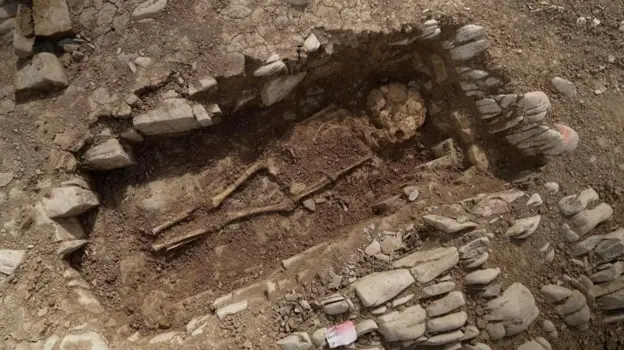 cementerio esqueletos