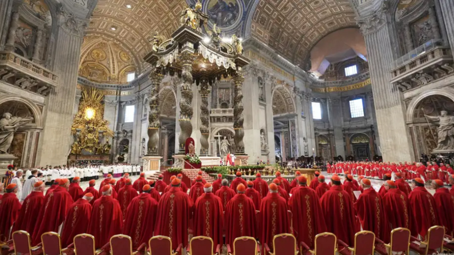 133 cardenales