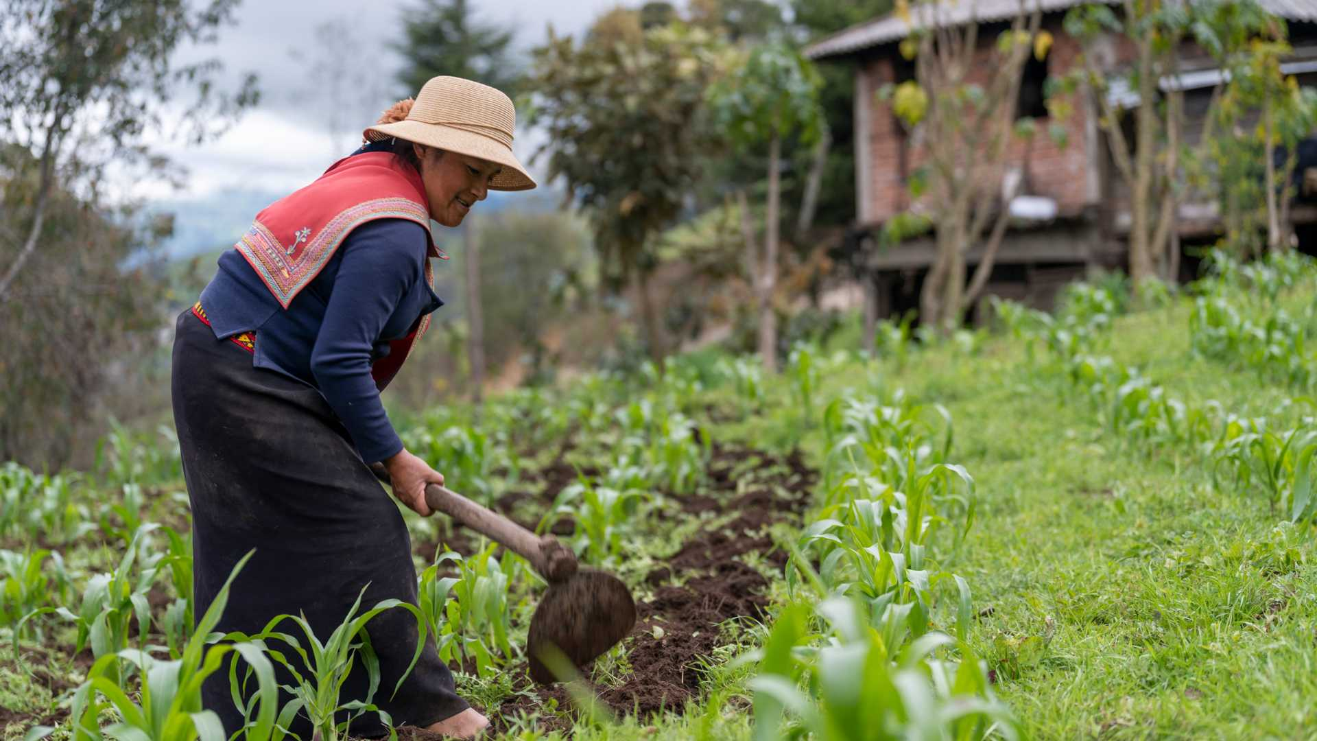 Basta de necedad: Los pueblos indígenas representan el 6% de la población mundial, pero protegen el 80% de la biodiversidad