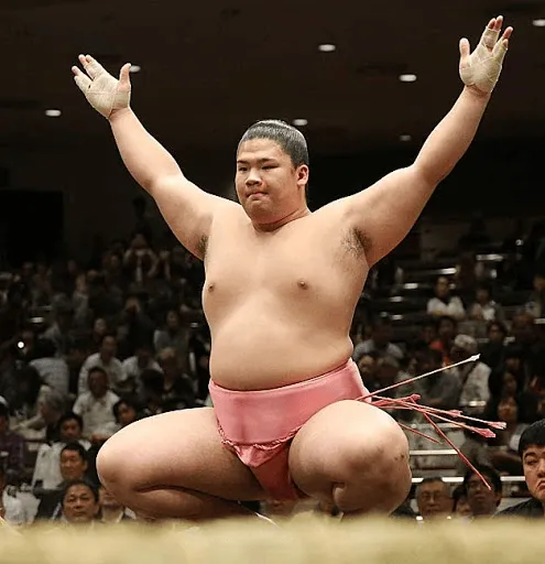 sumo