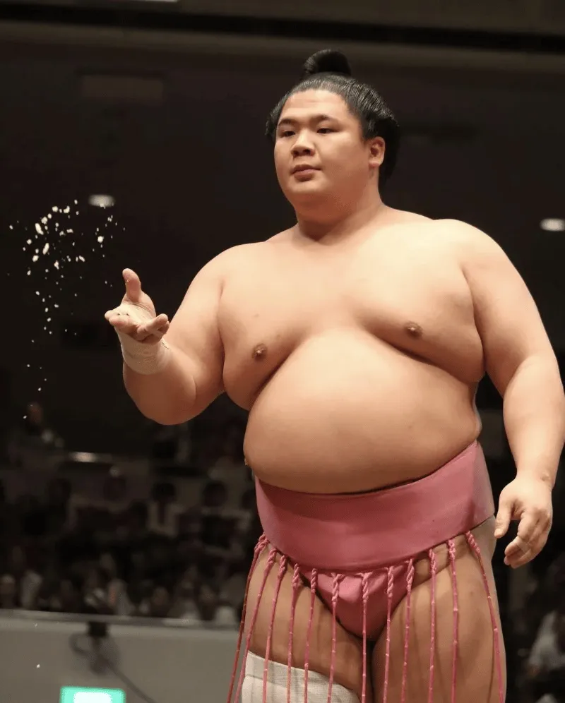 sumo