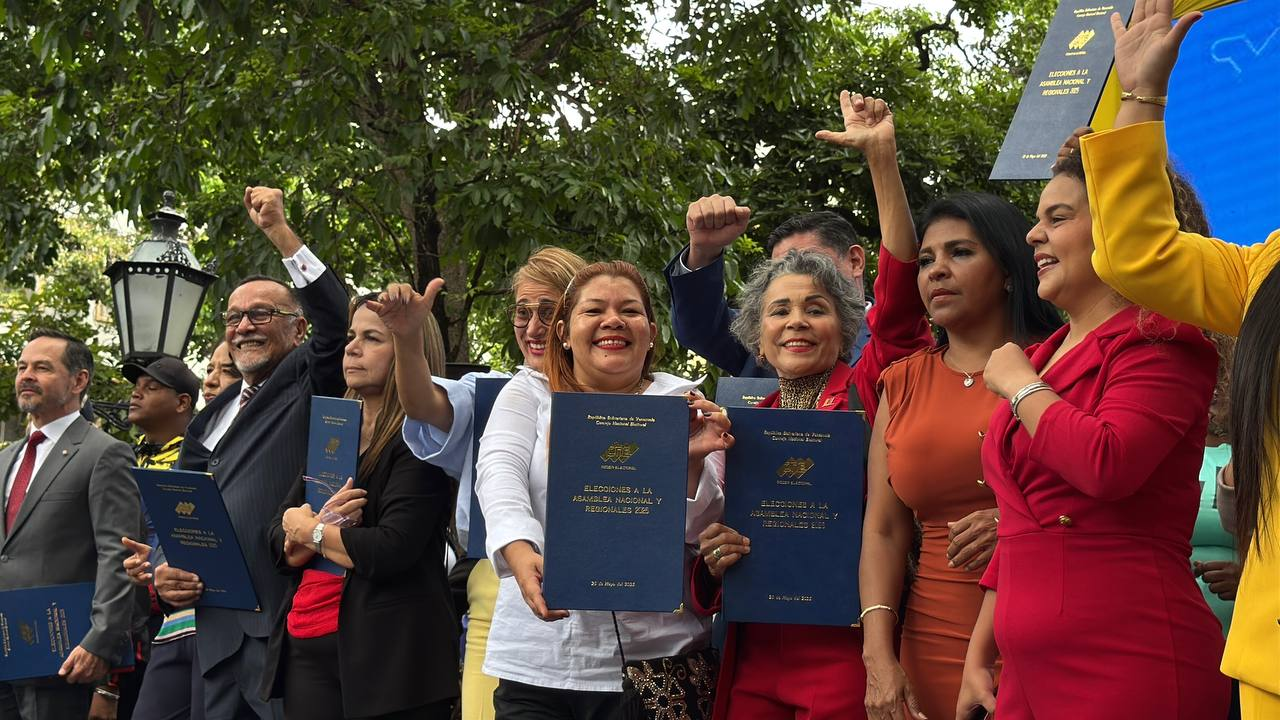 diputados electos