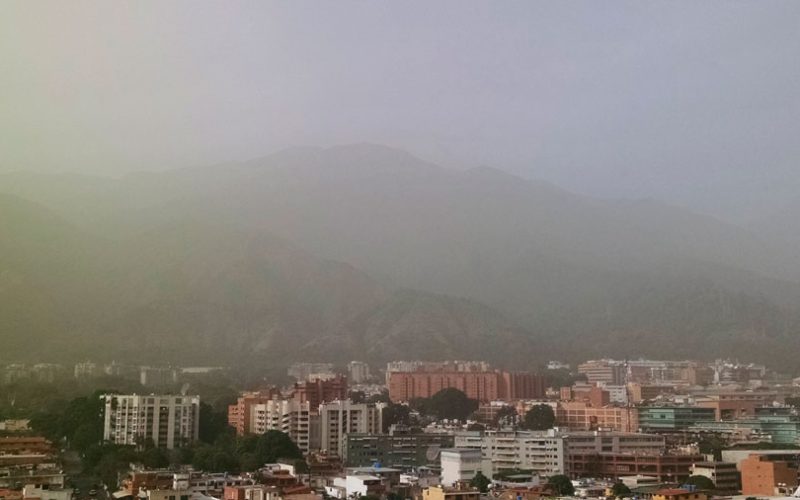 polvo