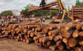 exportaciones
