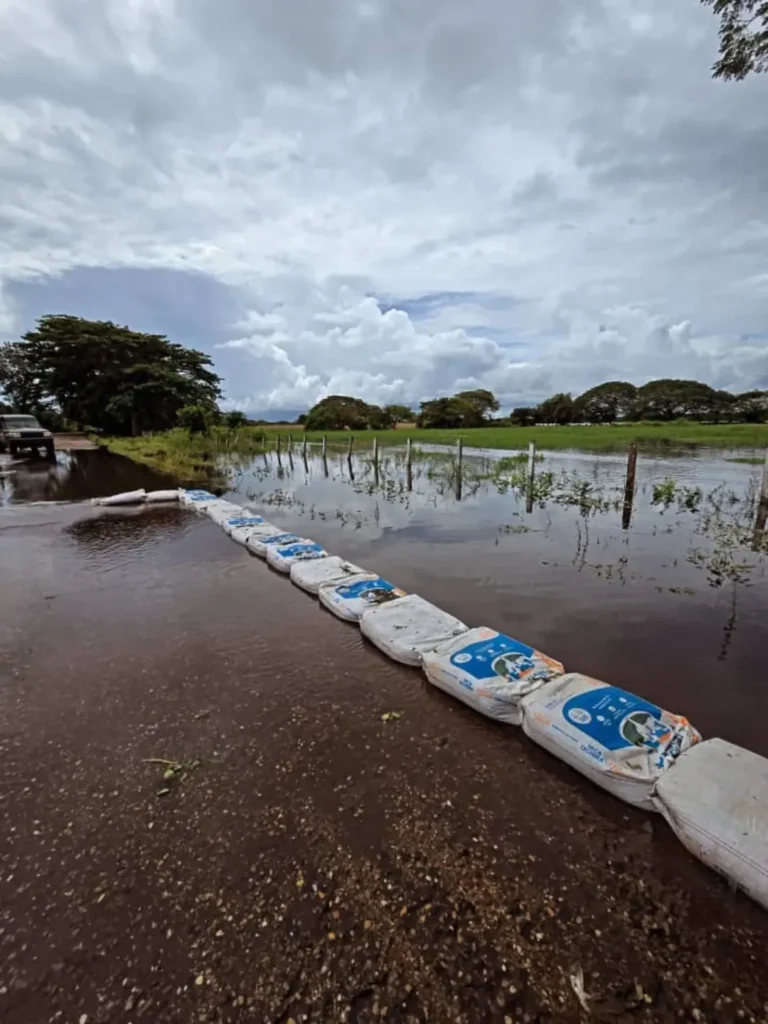 Gobernación de Apure y gobierno nacional continúan apoyo firme ante emergencia por lluvias e inundaciones