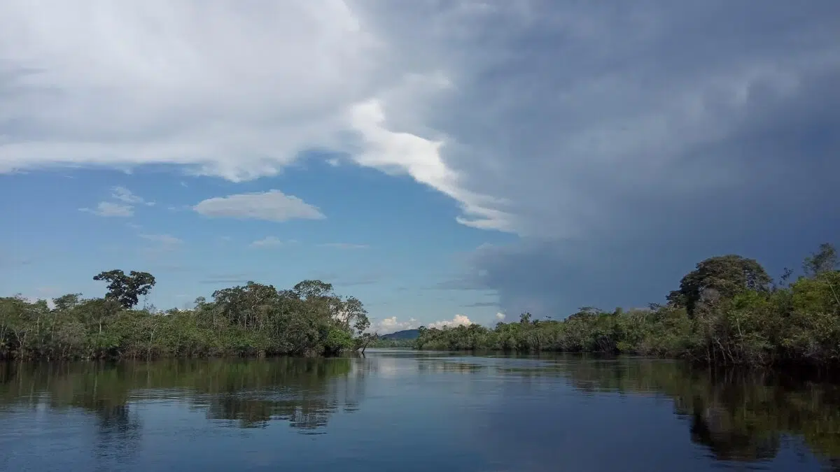 El nivel del río Orinoco supera marcas históricas y pone en alerta máxima a comunidades de varios estados