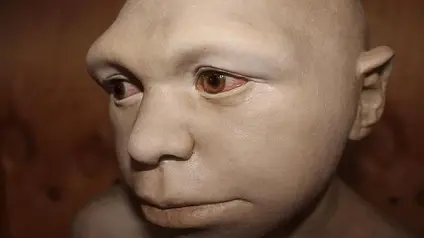 Homo antecessor