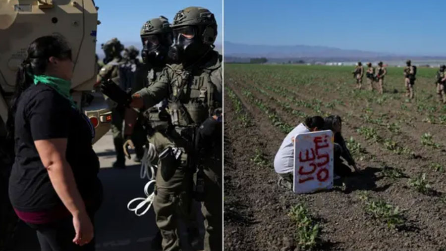 La importancia crucial de los migrantes en la producción agrícola de Estados Unidos y sus políticas migratorias restrictivas
