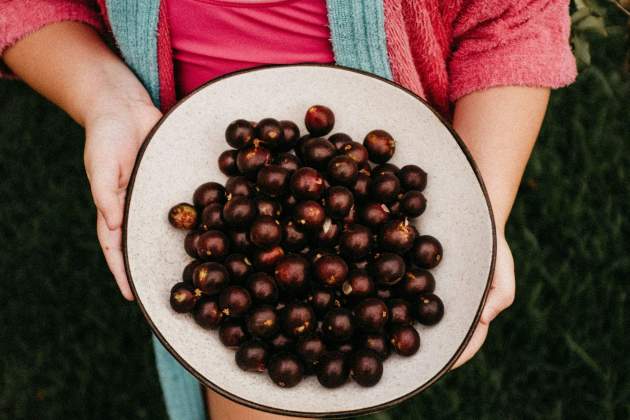 jabuticaba