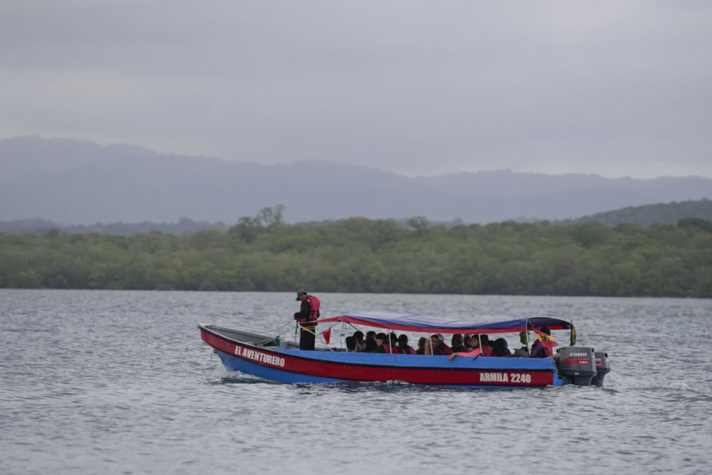 Migración inversa