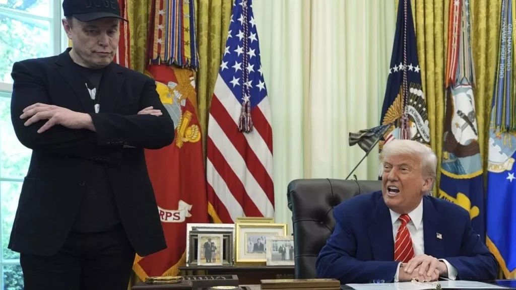 musk
partido