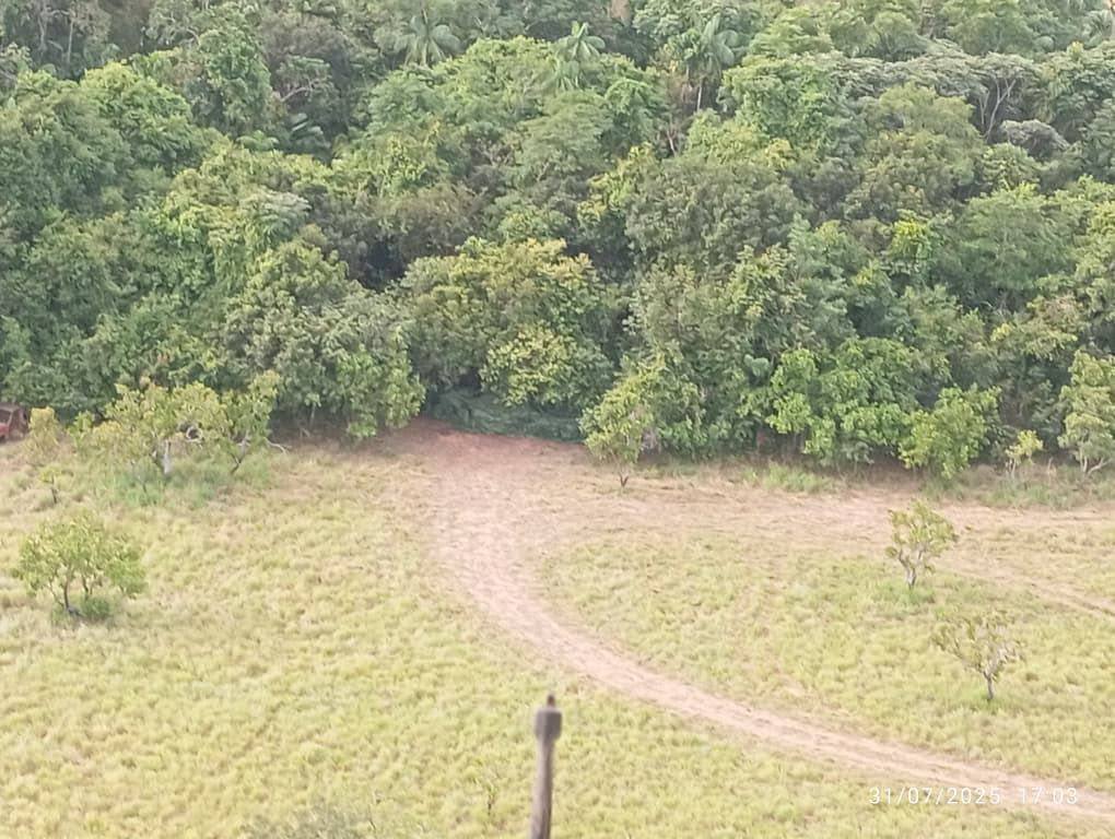 FANB destruye dos aeronaves y un centro logístico Tancol en Apure
