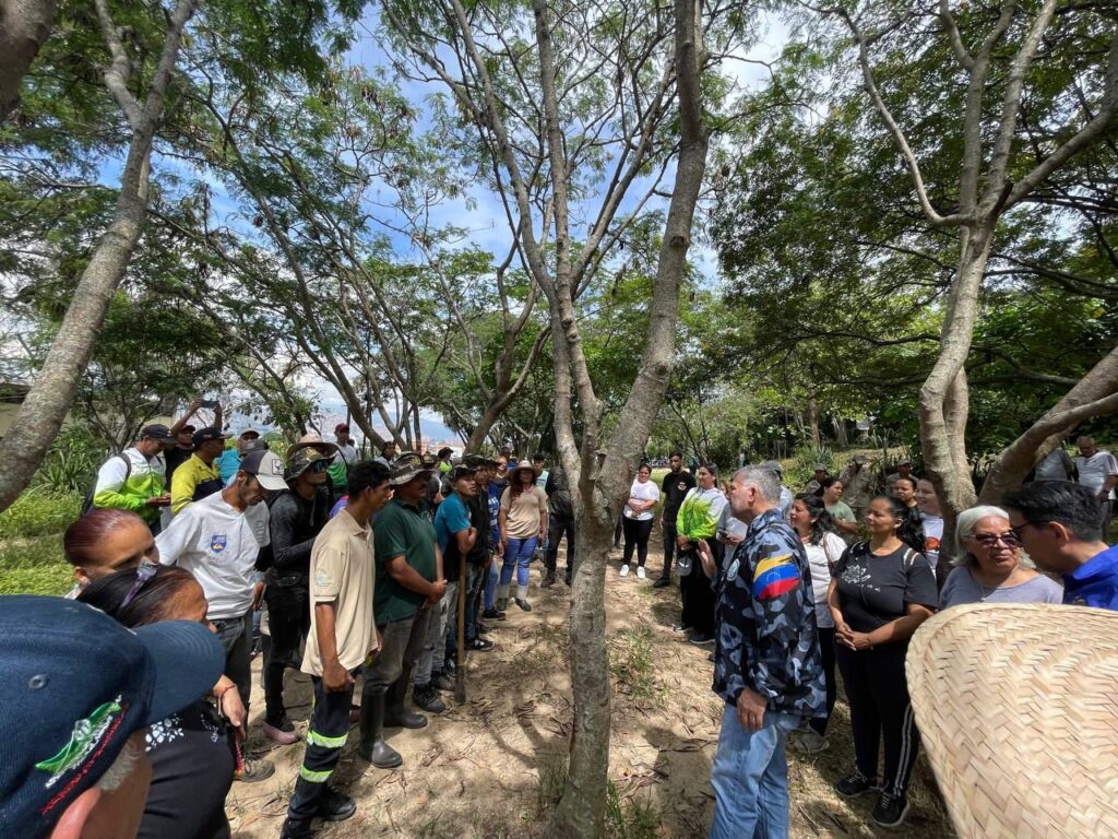 Venezuela impulsa la esperanza verde: más de 74 mil árboles plantados en jornada nacional masiva de reforestación