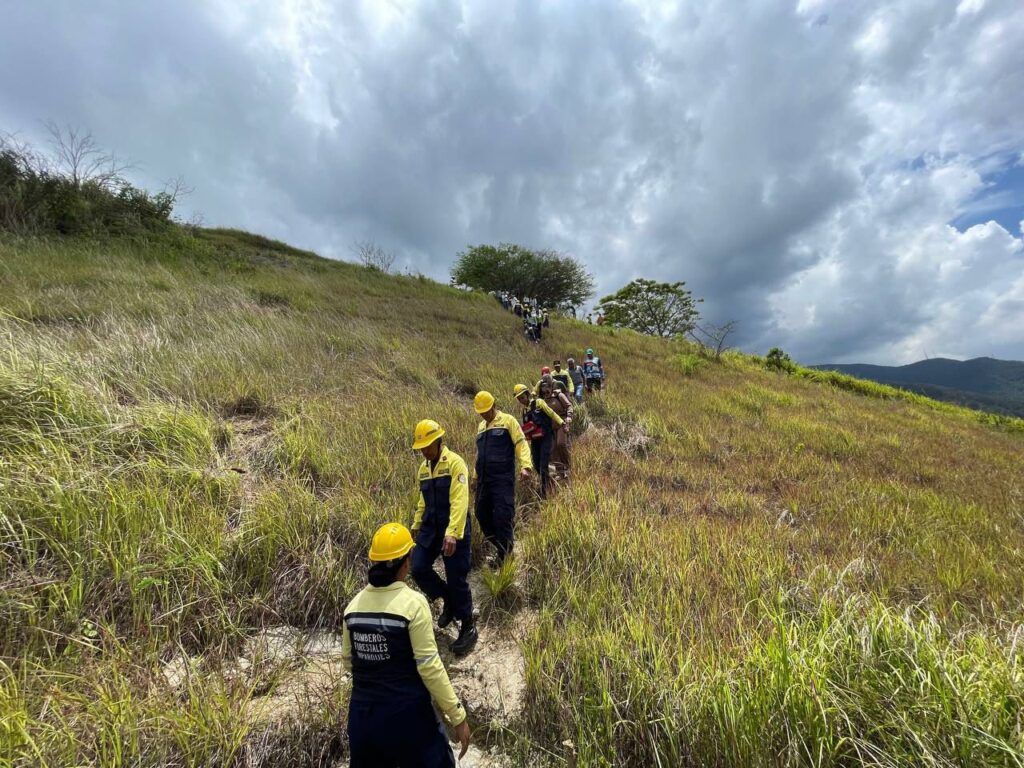 Venezuela impulsa la esperanza verde: más de 74 mil árboles plantados en jornada nacional masiva de reforestación