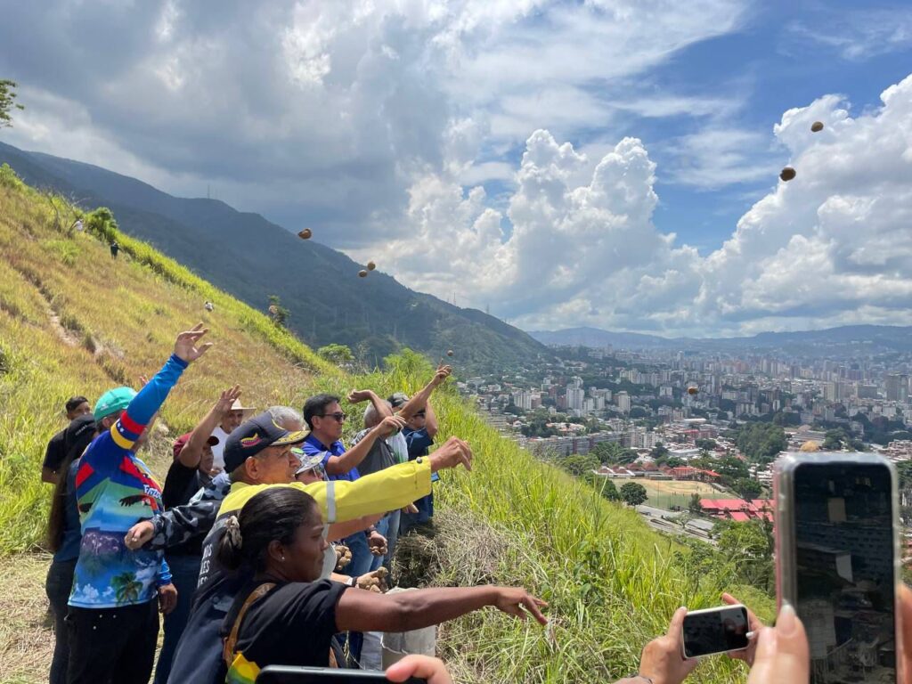 Venezuela impulsa la esperanza verde: más de 74 mil árboles plantados en jornada nacional masiva de reforestación