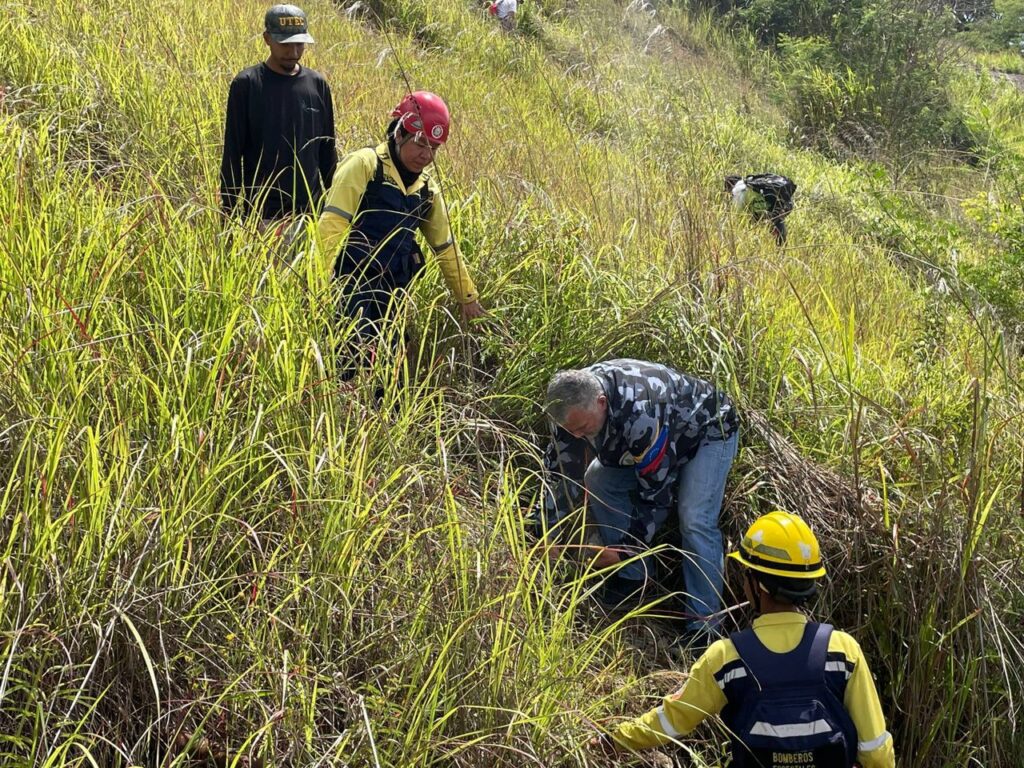 Venezuela impulsa la esperanza verde: más de 74 mil árboles plantados en jornada nacional masiva de reforestación