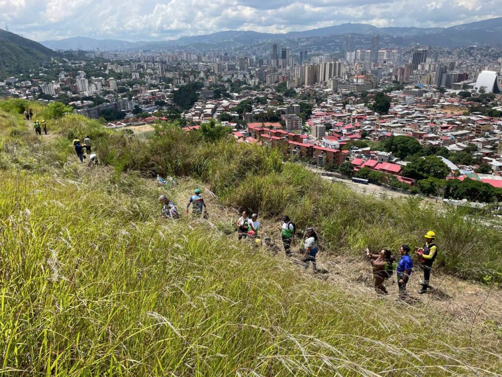 Venezuela impulsa la esperanza verde: más de 74 mil árboles plantados en jornada nacional masiva de reforestación