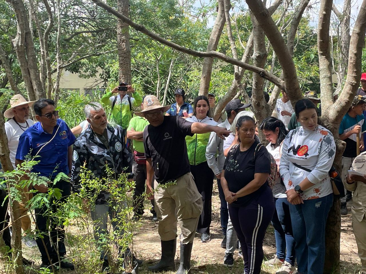Venezuela impulsa la esperanza verde: más de 74 mil árboles plantados en jornada nacional masiva de reforestación