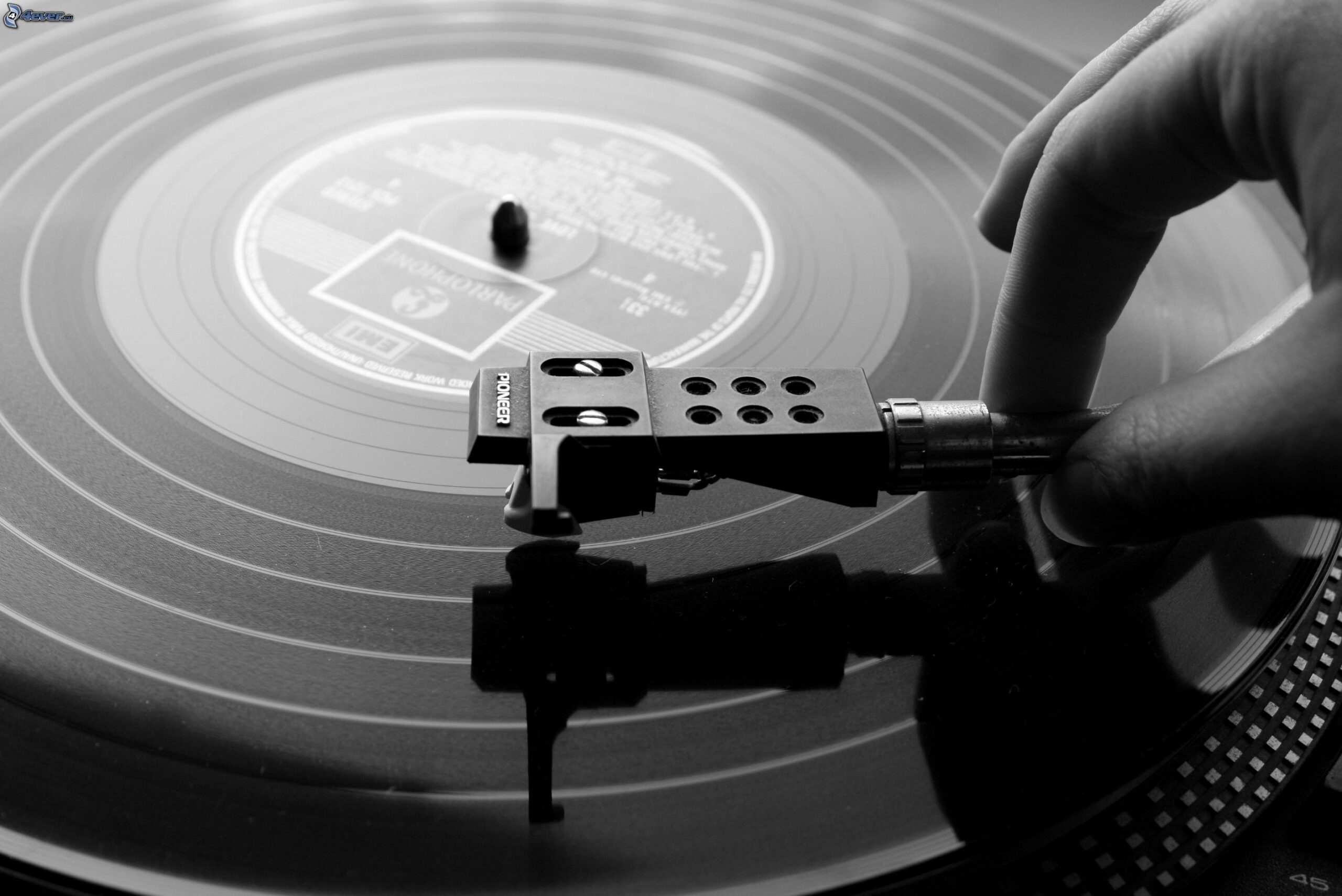 vinilo