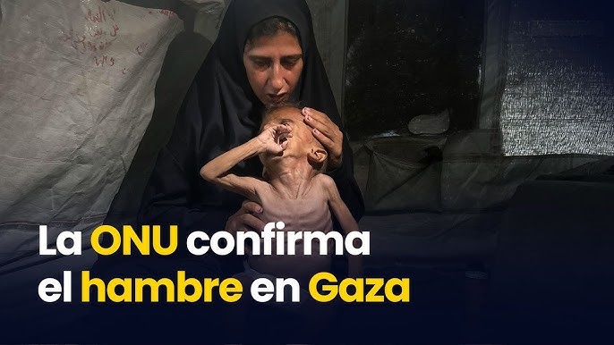 La ONU declara oficialmente hambruna en Gaza