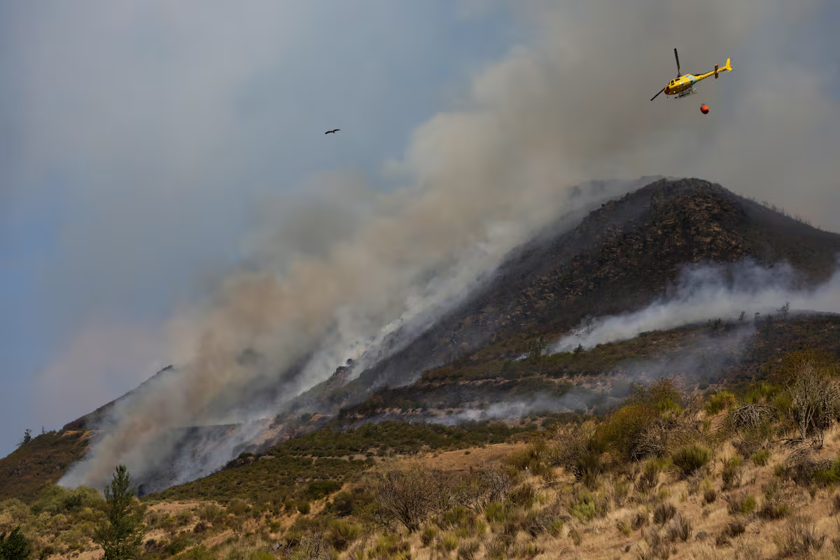 Andalucía bajo amenaza: incendio forestal generó evacuaciones preventivas