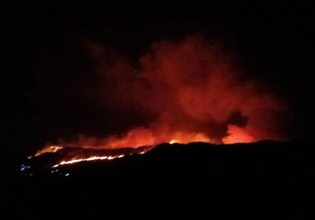 Andalucía bajo amenaza: incendio forestal generó evacuaciones preventivas