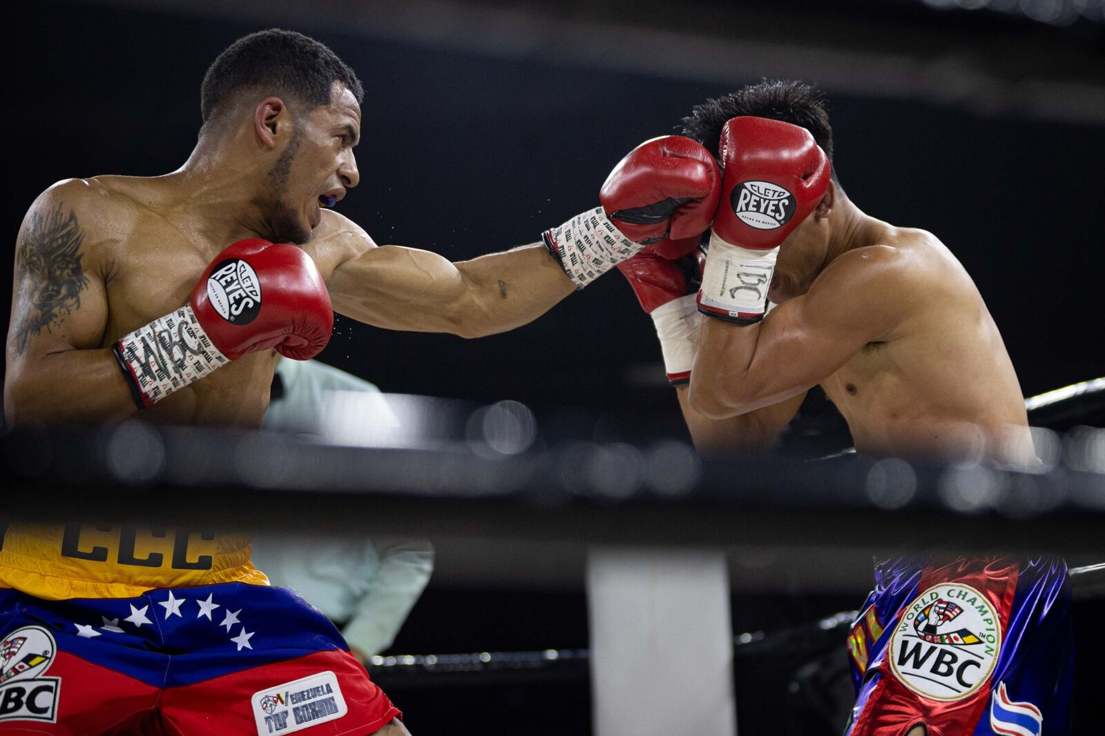 campeón mundial de boxeo