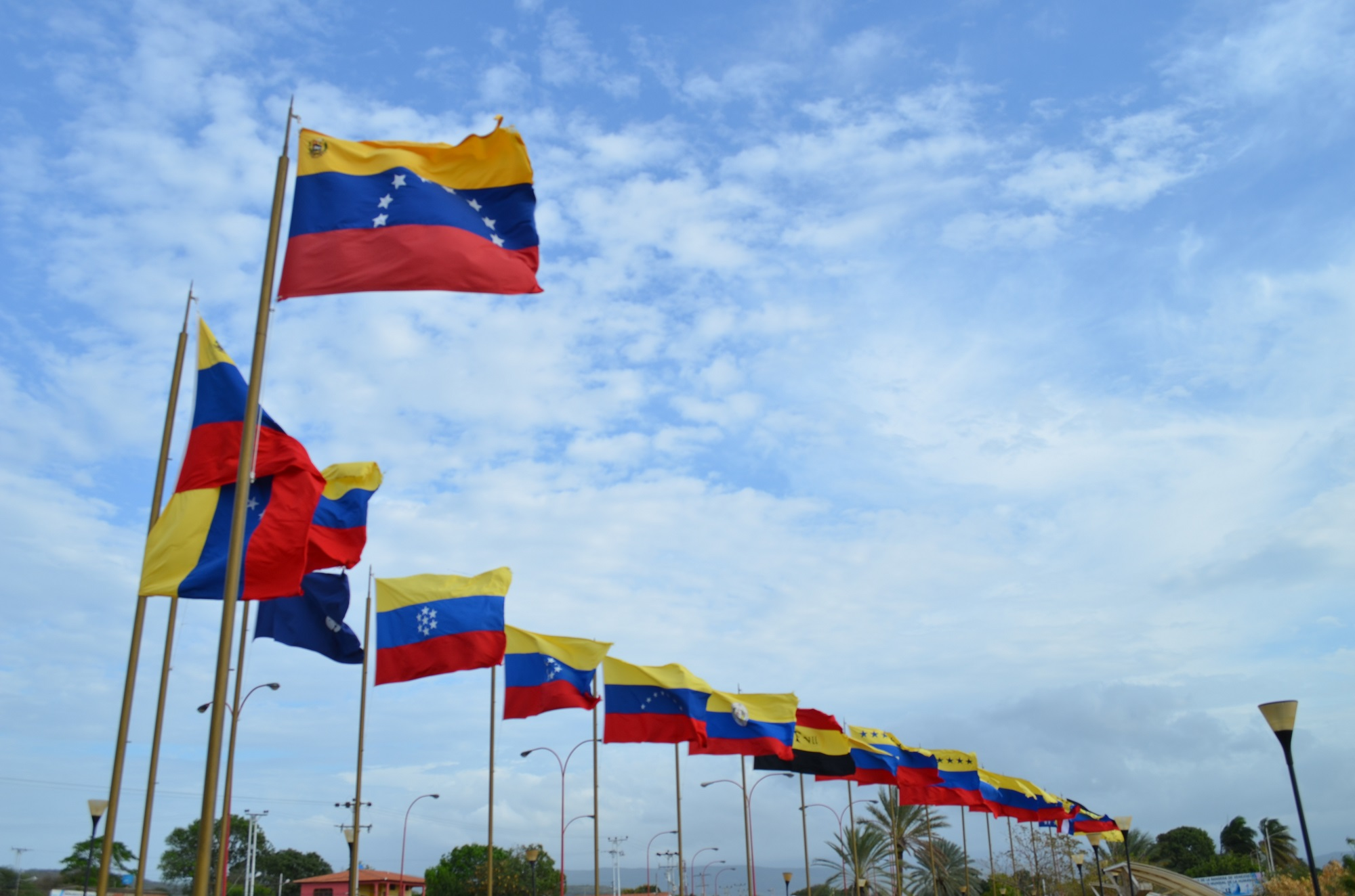 Día de la Bandera