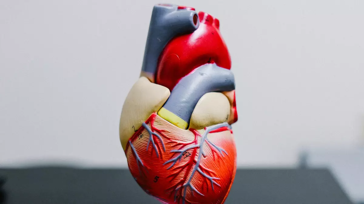 corazón