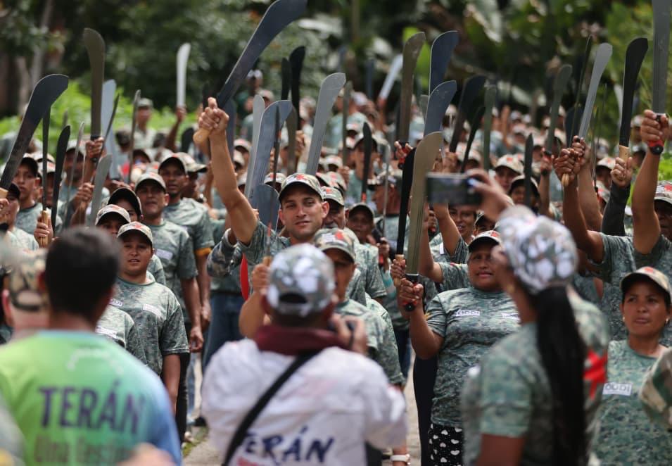 Milicia Campesina: Defensa Popular y Soberanía en las Montañas de Carayaca