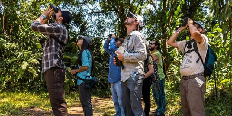 Mérida se posiciona en el mundo con el I Congreso Mundial de Aviturismo: Ecoturismo y conservación en foco global