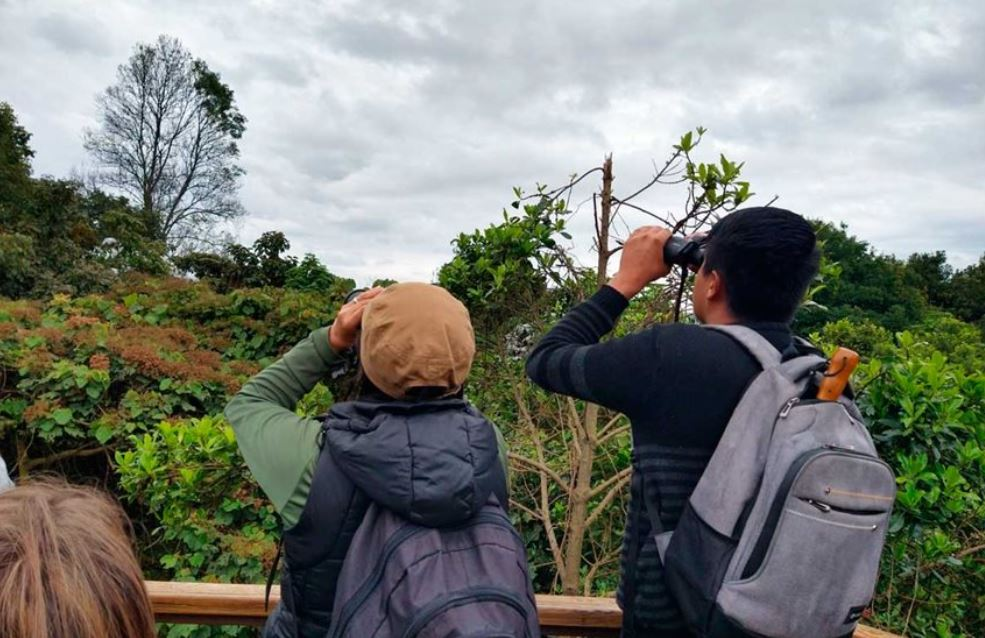 Mérida se posiciona en el mundo con el I Congreso Mundial de Aviturismo: Ecoturismo y conservación en foco global