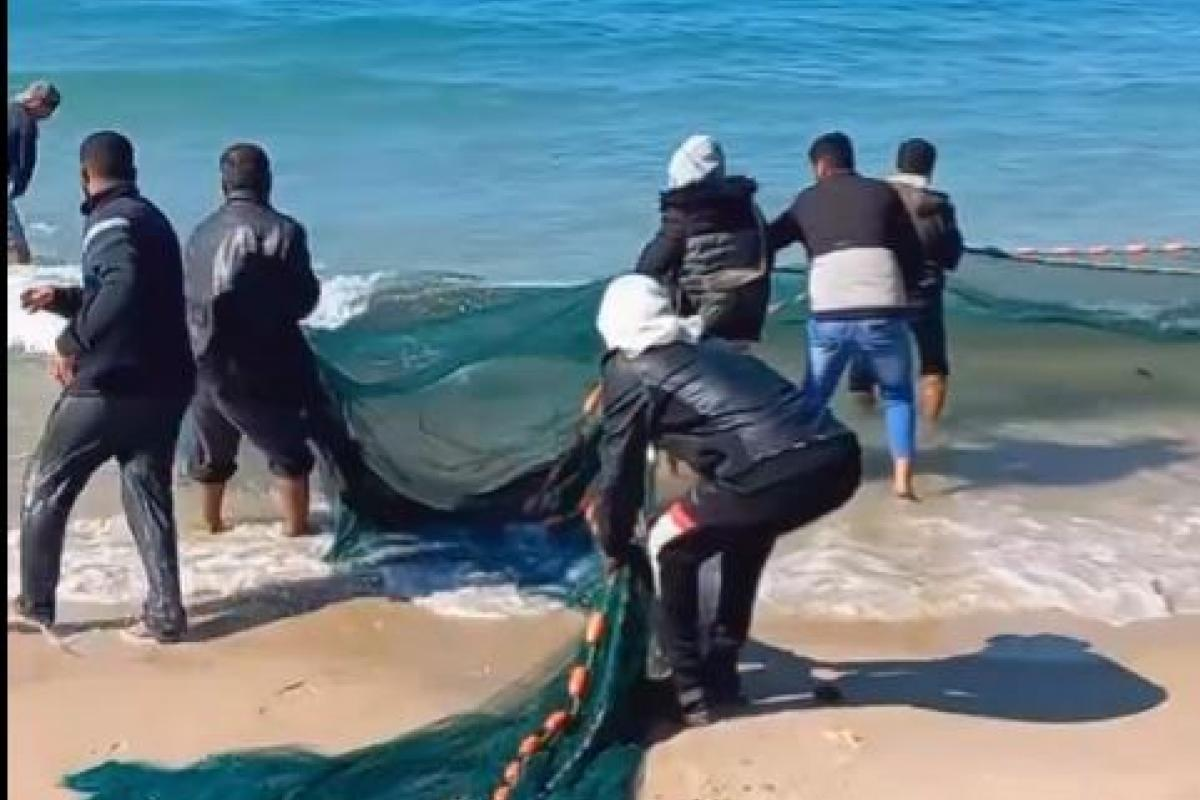 Impacto inesperado de la Flotilla Global Sumud: pescadores palestinos volvieron al mar