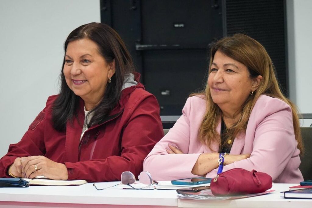 PSUV lanza nueva estructura para la defensa de la patria y la organización popular