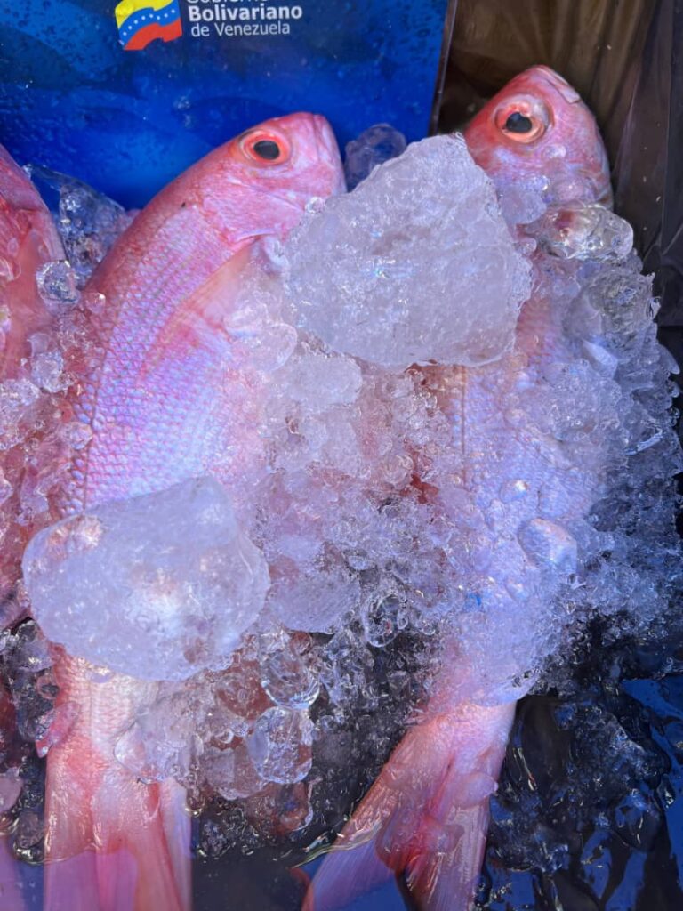 Venezuela y Rusia firman Protocolo Sanitario para potenciar comercio pesquero y acuícola