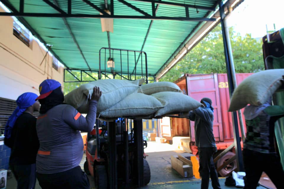 Venezuela exporta 200 toneladas de cacao a Rusia: cierre de año con logro agroindustrial